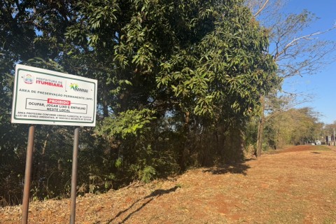 Dia da Árvore  e as ações ambientais em Itumbiara